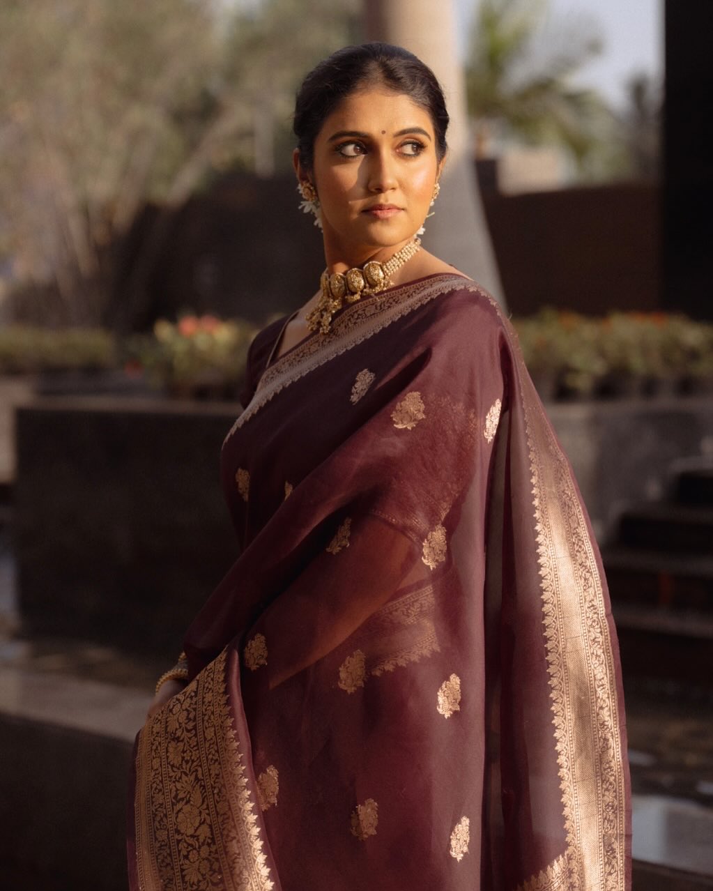 Elegant Wine Brown Banarasi Silk Saree with Classic Gold Zari Work